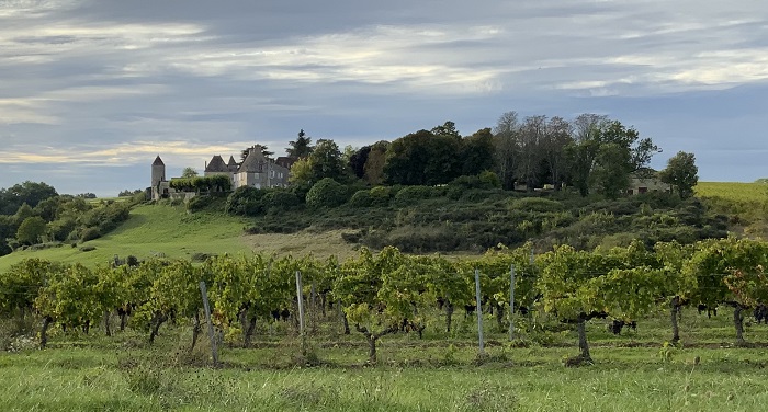 achat vente Propriété viticole Médiévale a vendre  ISMH , dépendances Proche Saint-Emilion  GIRONDE AQUITAINE