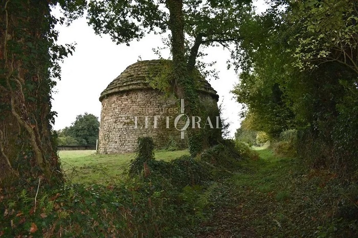 achat vente Demeure Médiévale a vendre  classée MH , colombier La Roche Bernard , à 20 mn des plages MORBIHAN BRETAGNE