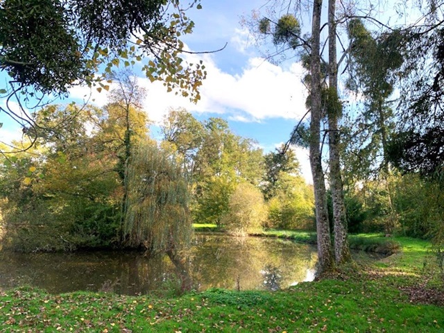 achat vente Château Classique a vendre  classé Monument Historique ,  dépendances Nord Allier , 2h30 Paris ALLIER AUVERGNE