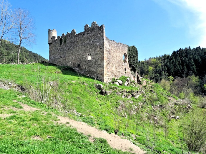 achat vente Château et Tour médiévaux a vendre  ISMH en ruine  de terrain Entre Le Puy et Saint-Etienne  HAUTE LOIRE AUVERGNE