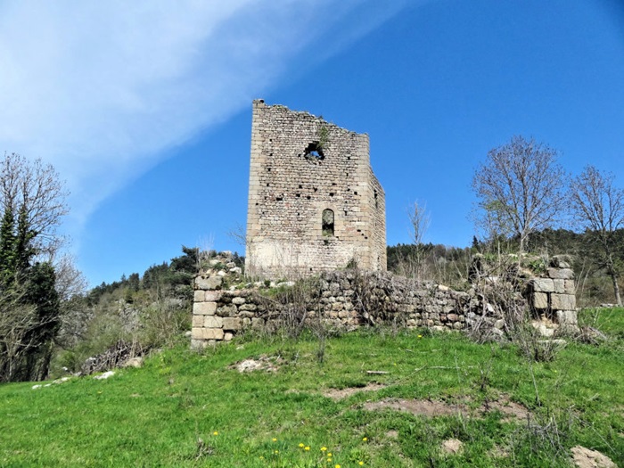 achat vente Château et Tour médiévaux a vendre  ISMH en ruine  de terrain Entre Le Puy et Saint-Etienne  HAUTE LOIRE AUVERGNE