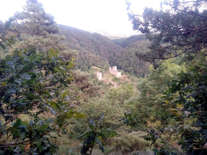 achat vente Château et Tour médiévaux a vendre  ISMH en ruine  de terrain Entre Le Puy et Saint-Etienne  HAUTE LOIRE AUVERGNE