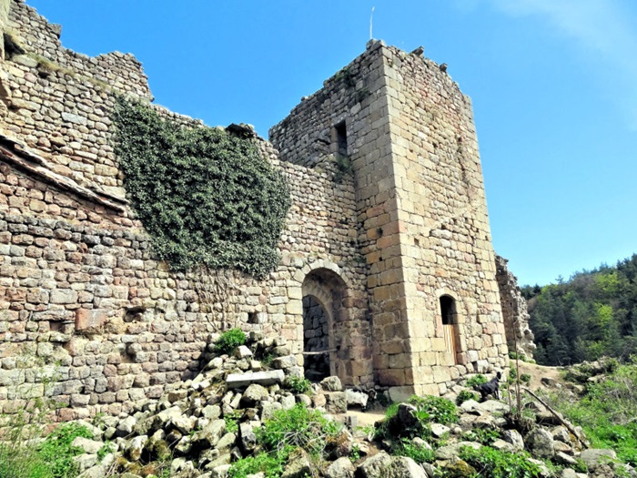 achat vente Château et Tour médiévaux a vendre  ISMH en ruine  de terrain Entre Le Puy et Saint-Etienne  HAUTE LOIRE AUVERGNE