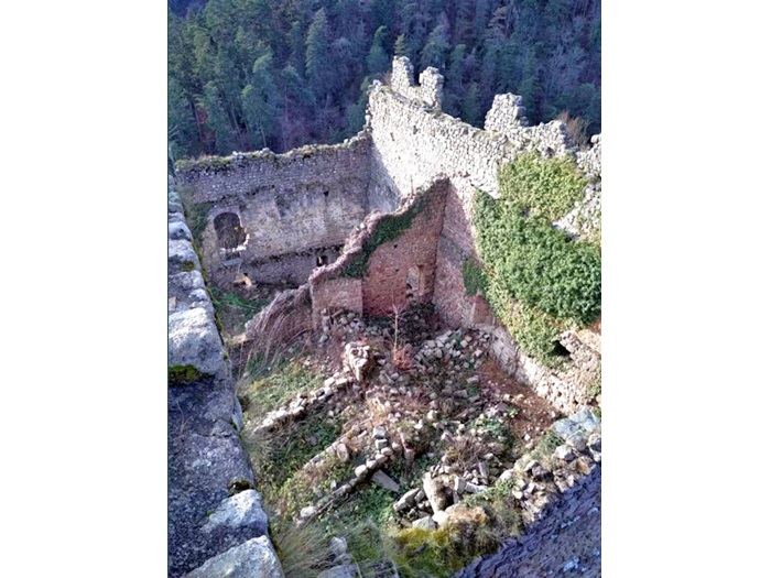 achat vente Château et Tour médiévaux a vendre  ISMH en ruine  de terrain Entre Le Puy et Saint-Etienne  HAUTE LOIRE AUVERGNE