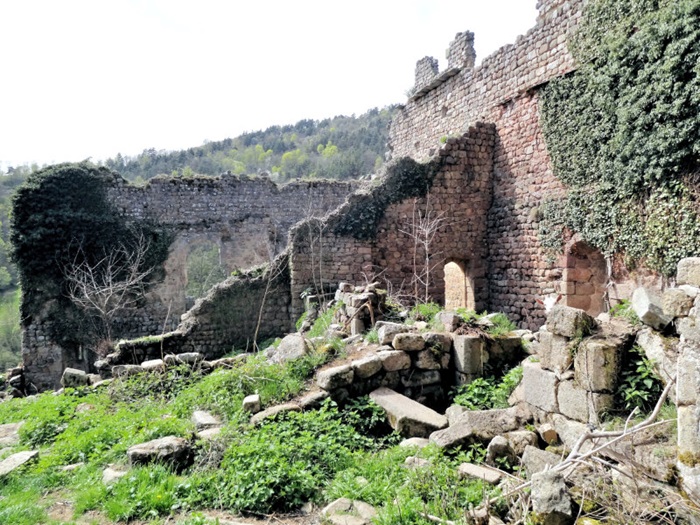 achat vente Château et Tour médiévaux a vendre  ISMH en ruine  de terrain Entre Le Puy et Saint-Etienne  HAUTE LOIRE AUVERGNE
