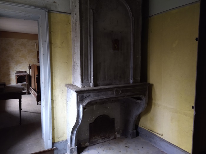 achat vente Demeure Renaissance a vendre  Classée Monument Historique en totalité , grandes caves Nancy   à 30 mn, 1h30 Paris (TGV), en position dominante MEURTHE ET MOSELLE LORRAINE