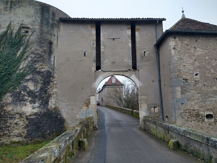 achat vente Demeure Renaissance a vendre  Classée Monument Historique en totalité , grandes caves Nancy   à 30 mn, 1h30 Paris (TGV), en position dominante MEURTHE ET MOSELLE LORRAINE