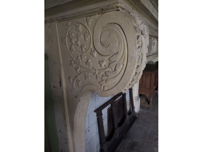 achat vente Demeure Renaissance a vendre  Classée Monument Historique en totalité , grandes caves Nancy   à 30 mn, 1h30 Paris (TGV), en position dominante MEURTHE ET MOSELLE LORRAINE