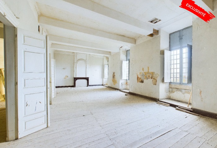 achat vente Château Classique a vendre , inscrit ISMH , dépendances Poyanne  LANDES AQUITAINE
